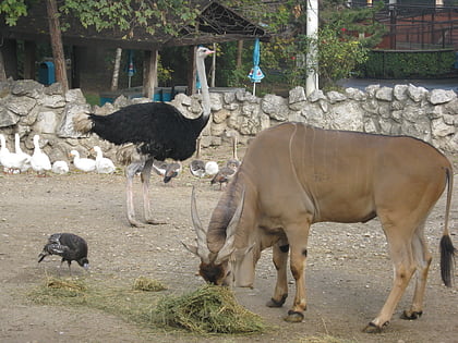 Ogród Zoologiczny