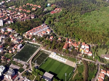 cukaricki stadium belgrado