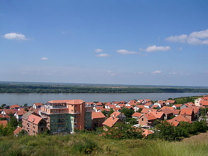 visnjica belgrade