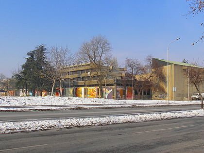 faculty of dramatic arts belgrad