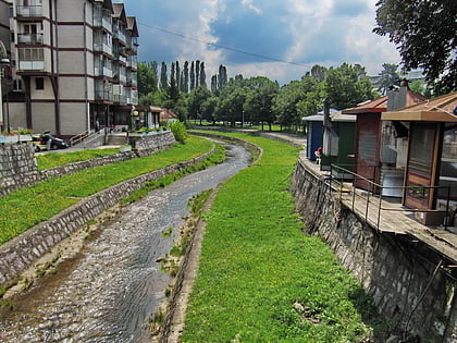 Opština Boljevac