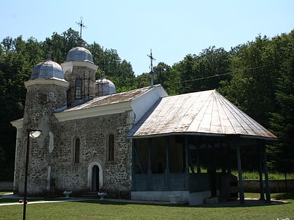 Église de la Transfiguration de Krivaja