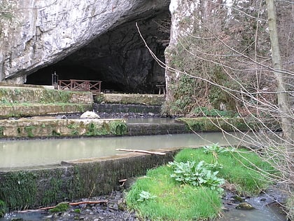 Grotte de Petnica