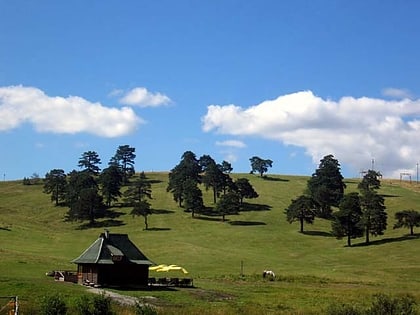 zlatibor