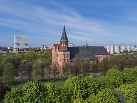 konigsberg cathedral kaliningrad