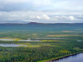 rezerwat przyrody putoransky