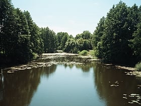 rezerwat przyrody voronezh