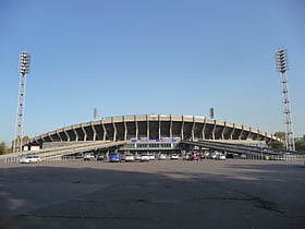 estadio central de krasnoyarsk