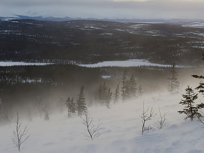 Reserva de la biosfera de Laponia
