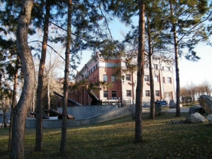 far east regional museum khabarovsk