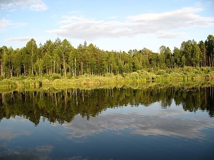 Parque nacional Orlovskoye Polesye