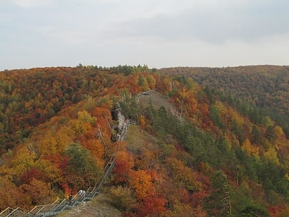 zhiguli nature reserve