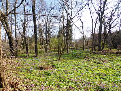 Botanical Garden named after Rostovtsev