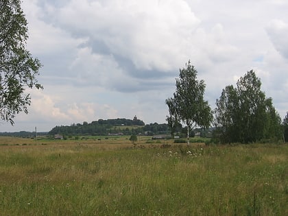 Pytalovsky District