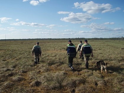 arkhangelsk regional rescue service