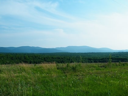 bolshekhekhtsirsky nature reserve