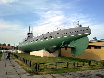 Narodovolets Submarine D-2