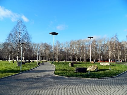 Park Kamney