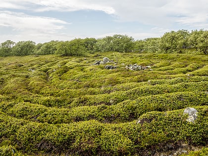 Stone labyrinths of Bolshoi Zayatsky Island