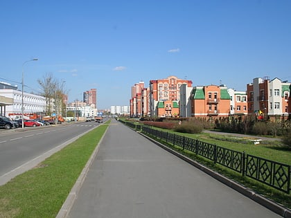 kurkino district moscow