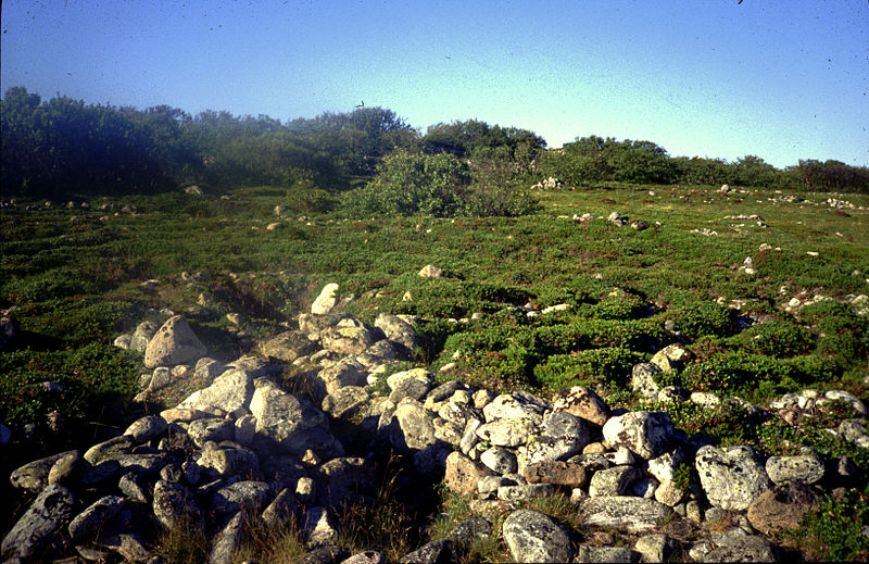 Stone labyrinths of Bolshoi Zayatsky Island