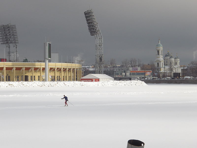 Estadio Petrovski