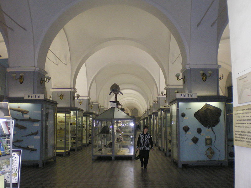 Musée zoologique de Saint-Pétersbourg