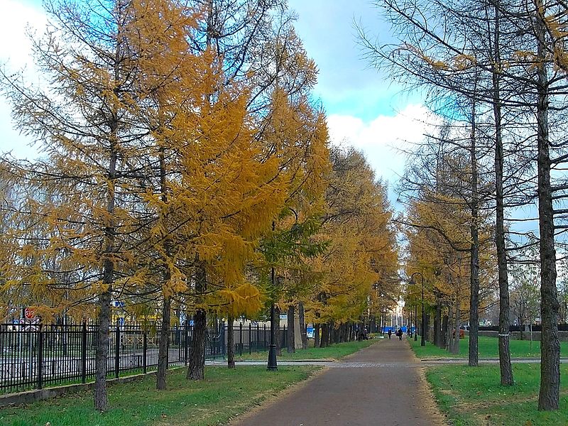 Moskovsky Victory Park