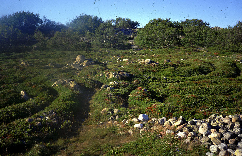 Stone labyrinths of Bolshoi Zayatsky Island