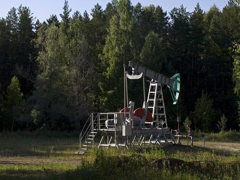 Nizhnyaya Kama National Park