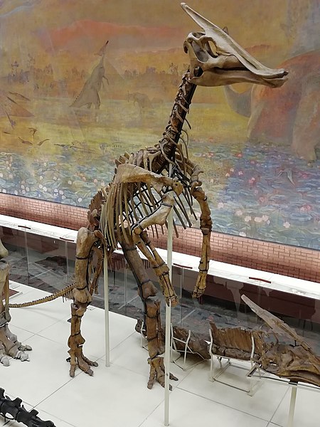 Moscow Paleontological Museum