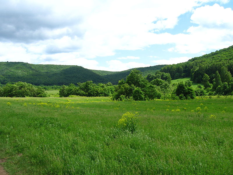 Parc national Samarskaïa Louka