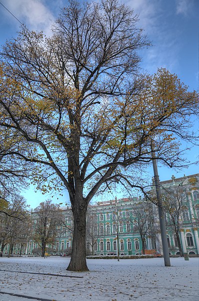 Gardens of the Winter Palace