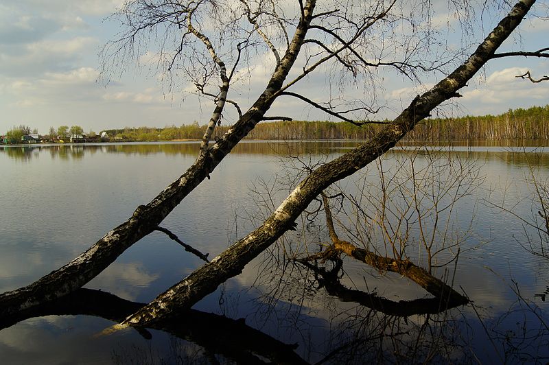 Meshchyorsky National Park