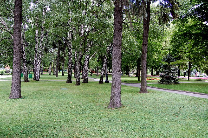 Jardin Taïnitski