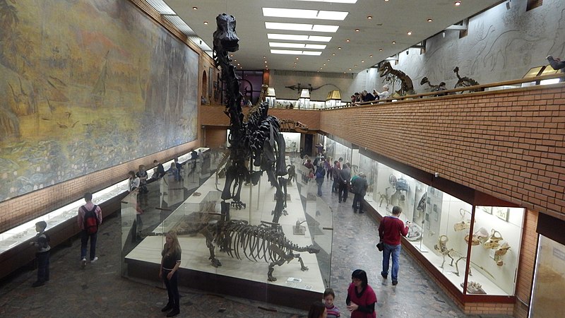 Paläontologisches Museum Moskau