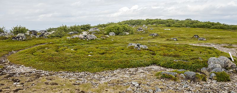 Stone labyrinths of Bolshoi Zayatsky Island