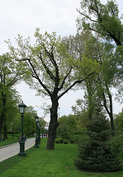 Ogród Aleksandrowski