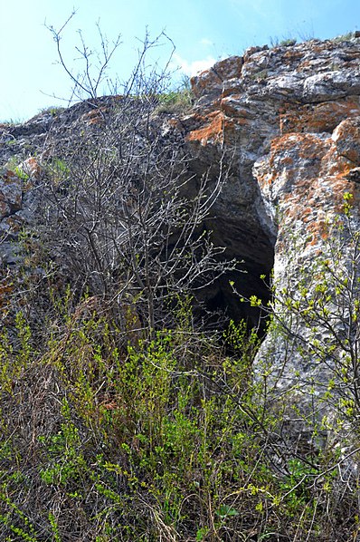 Jaskinia Kapowa