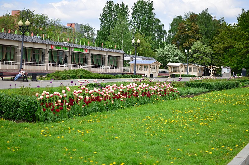 Ismailowoer Park