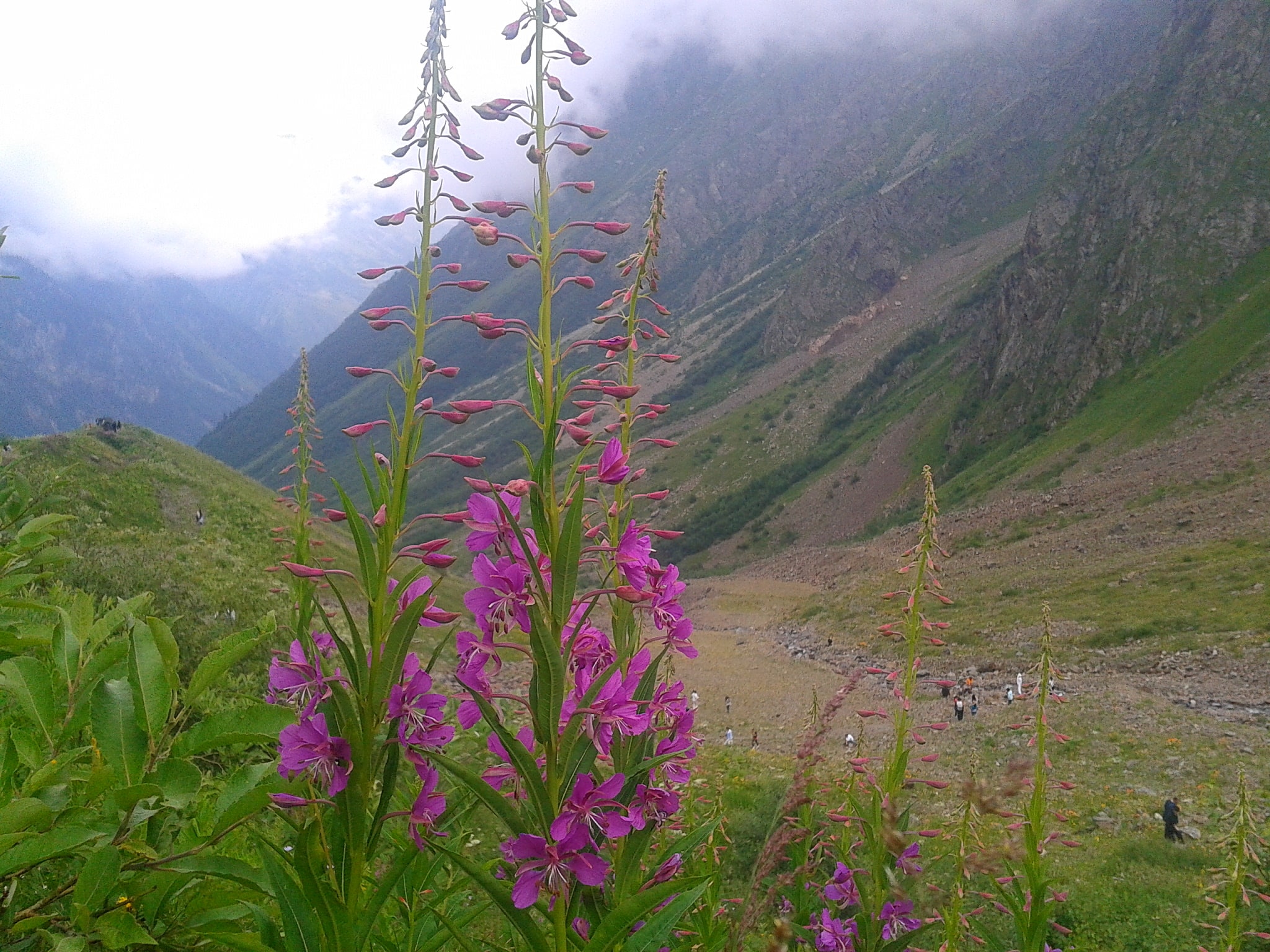 Réserve naturelle d'Ossétie du Nord, Russie