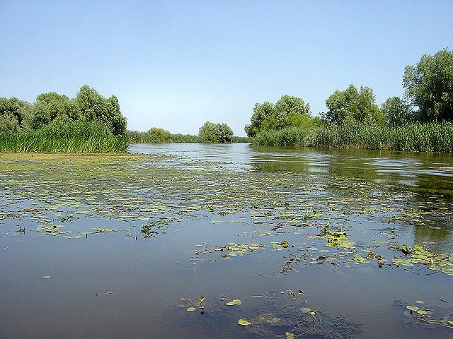 Delta del Volga, Rusia