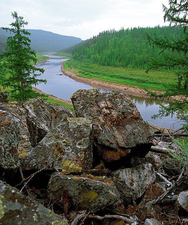 Rezerwat Przyrody Olyokma, Rosja