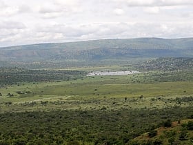 akagera national park