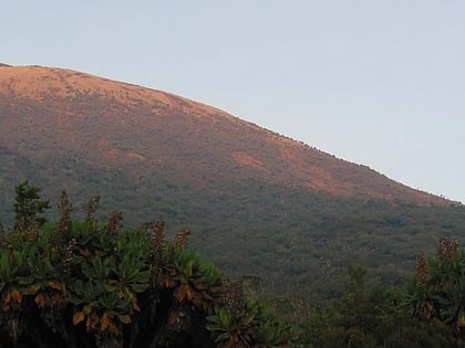 monte karisimbi parque nacional de los volcanes