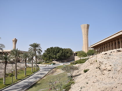 universite du roi fahd du petrole et des mines dhahran
