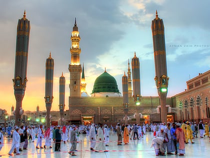 cupula verde medina
