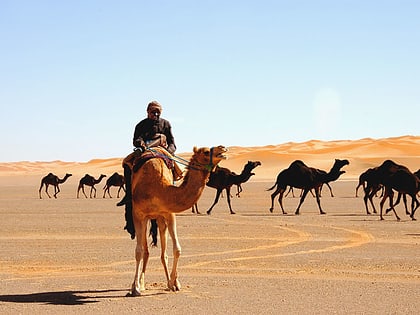 Ad-Dahna Desert