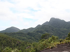 Monte Seychellois
