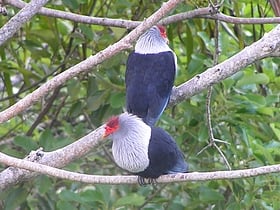 Praslin National Park and surrounding areas Important Bird Area